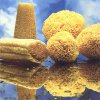 Esponjas naturales